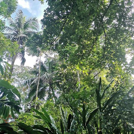 Villa Casa Jaguar à Tortuguero Extérieur photo