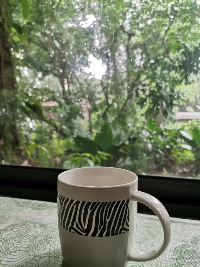 Villa Casa Jaguar à Tortuguero Extérieur photo