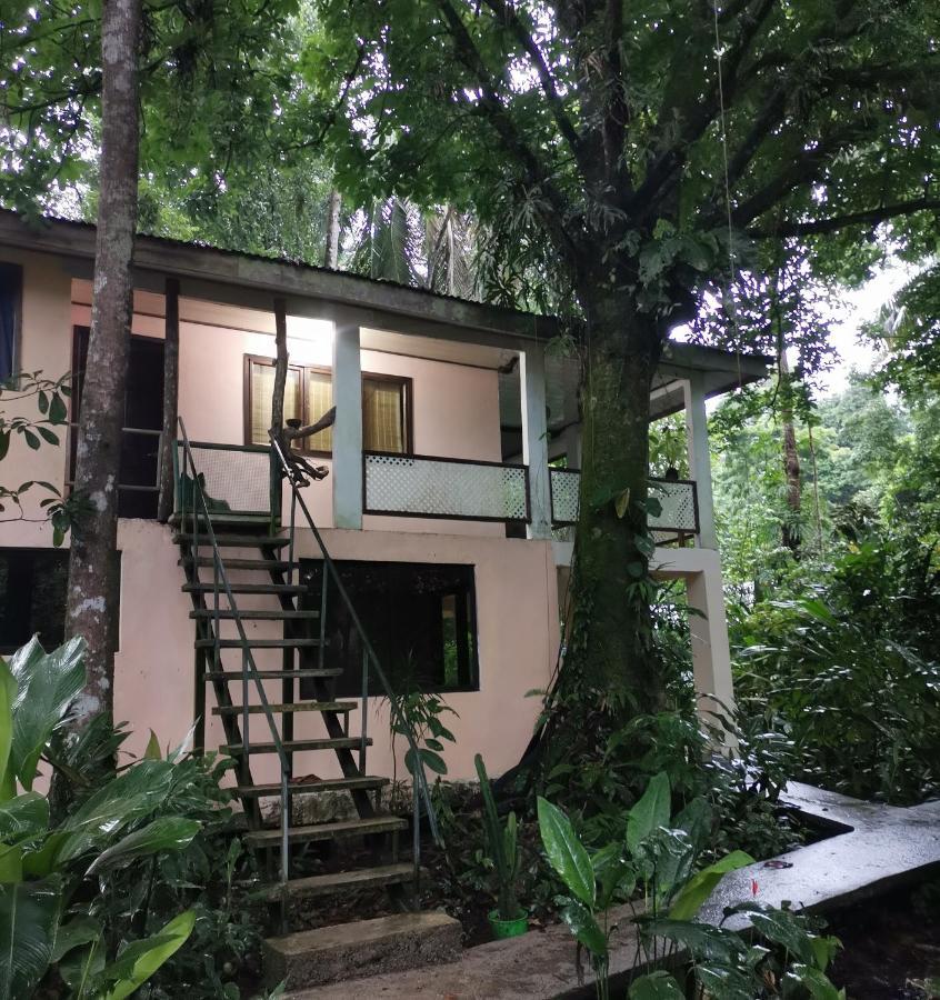 Villa Casa Jaguar à Tortuguero Extérieur photo