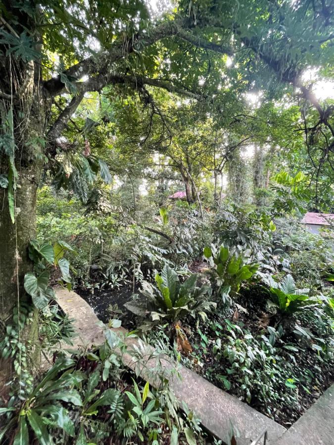 Villa Casa Jaguar à Tortuguero Extérieur photo