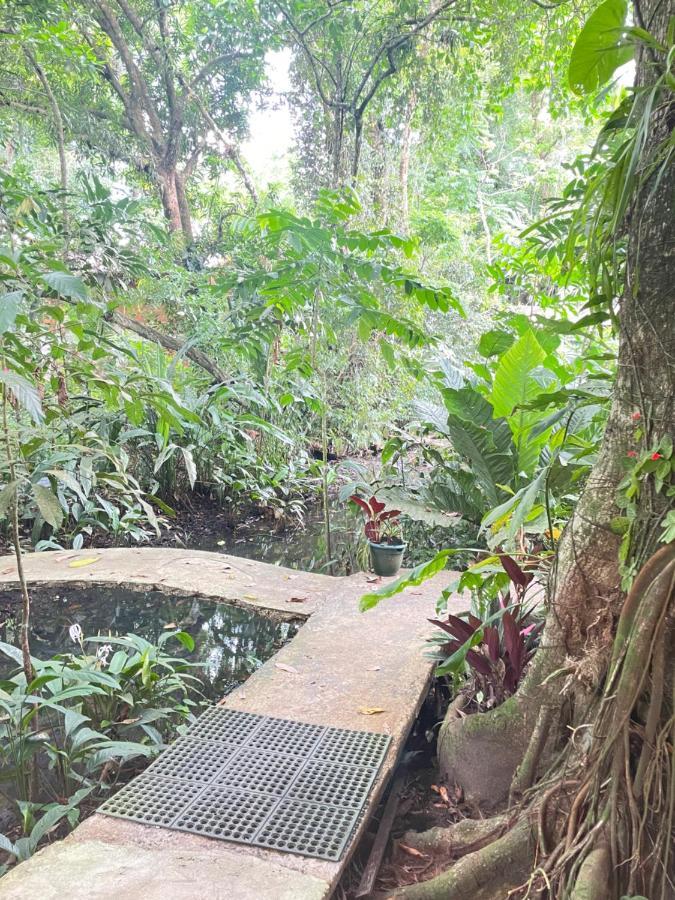 Villa Casa Jaguar à Tortuguero Extérieur photo